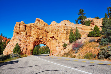 Sticker - Red sandstone natural bridge in Bryce Canyon National Park in Utah, USA