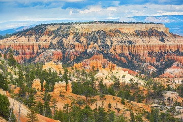 Wall Mural - Red sandstone hoodoos in Bryce Canyon National Park in Utah, USA