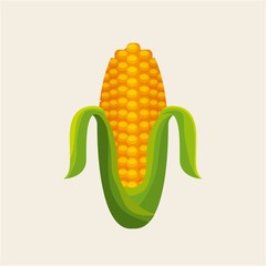 Wall Mural - corn vegetable icon over white background