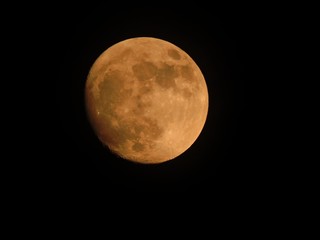 Wall Mural - full moon