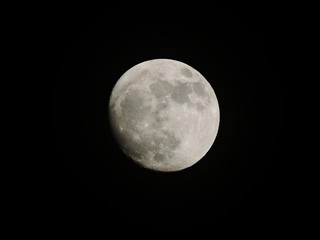 Wall Mural - full moon