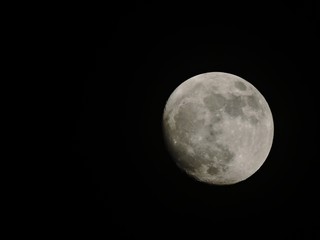 Wall Mural - full moon