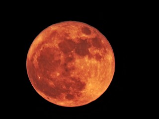Wall Mural - blood moon