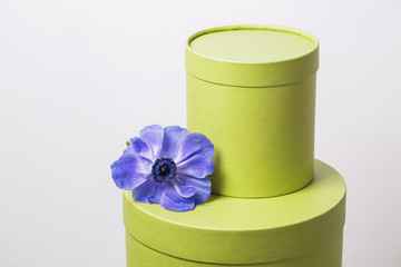 two hat box pistachio color against the plastered wall. Flower Poppy anemone purple gradien