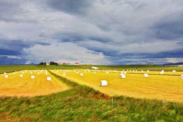 Poster - Summer Iceland