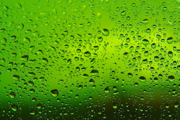 Water drops on green background