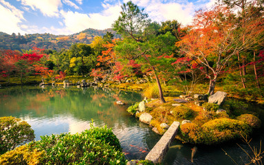 Japanese garden shoot at kyoto in autumn