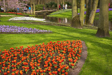 Flower Beds In A Dutch Park In Spring