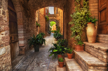 Wall Mural - Plants in pots on narrow streets of the ancient city of Spello, Umbria, Italy