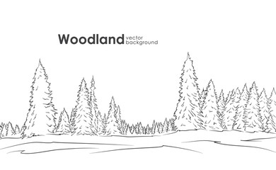 Wall Mural - vector illustration: hand drawn woodland landscape. sketch with pine forest.
