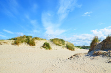 Wall Mural - Dünenlandschaft an der Nordsee