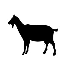 Goat Vector Illustration Black Silhouette