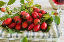Fresh Picked Rose Hips Or Rose Haws And Autumnal Fruit Of The Wild Dog Rose