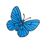 Fototapeta Motyle - butterfly vector scetch