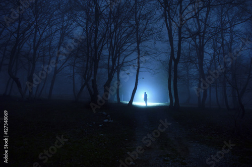 Plakat Dziewczyna w da mgłowym lesie przy nocą