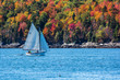 © Tabor Chichakly - Sailboat in autumn against deep blue ocean water in coastal Maine, New England