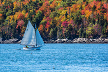 Sailboat In Autumn Against Deep Blue Ocean Water In Coastal Maine, New England