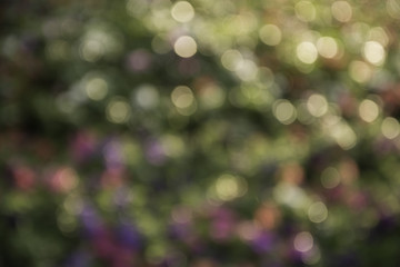 Abstract blur city park bokeh background, abstract colorful background