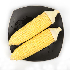 Corn isolated on a white background