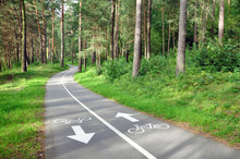 Two-way Asphalt Bike Path In The Summer Pine Forest In Perspective.