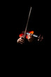 © princeoflove - male musician hands playing classical violin