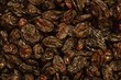 © extracoin - sultana background, dried sultana, black sultana, blue sultana, raisin background, dry raisin photo