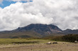 Highland plains of the Andes  in Ecuador South America