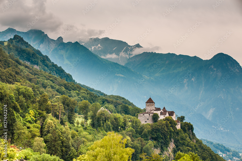 Obraz na płótnie Wide view of Vaduz castle and Alps, Lichtenstein w salonie