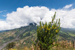 Volcano Tungurahua and landscape of Banos Ecuador