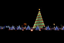 Illuminated Christmas Tree Lights At Night With 50 Small Trees Representing Each State At National Mall In Washington D.C. In 2014