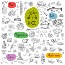 Big Set Of Sketch Drawn Food, White Background. Meat, Fish, Vegetables, Mushrooms, Spices. Hand Drawn Vector Illustration