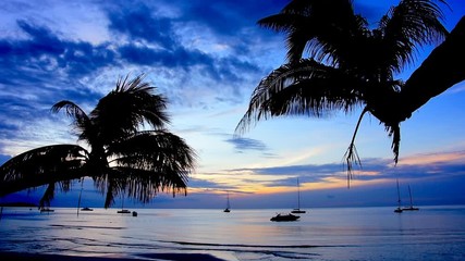 Wall Mural - Tropical sunset with palm trees silhouette at beach