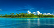 Tropical Rarotonga with palm trees and sandy beach, Cook Islands