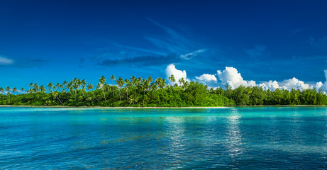 Wall Mural - tropical rarotonga with palm trees and sandy beach, cook islands