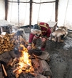 Traditional Sami reindeer-skin tents (lappish yurts) in Tromso