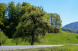 Gebirgslandschaft in Oberbayern