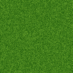 green grass seampess texture - summer background
