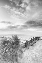 Wall Mural - beautiful beach coastal low tide landscape image at sunrise in b