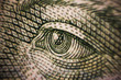 money banknote macro closeup shot eyes of Ukraine famous people value cash exchange