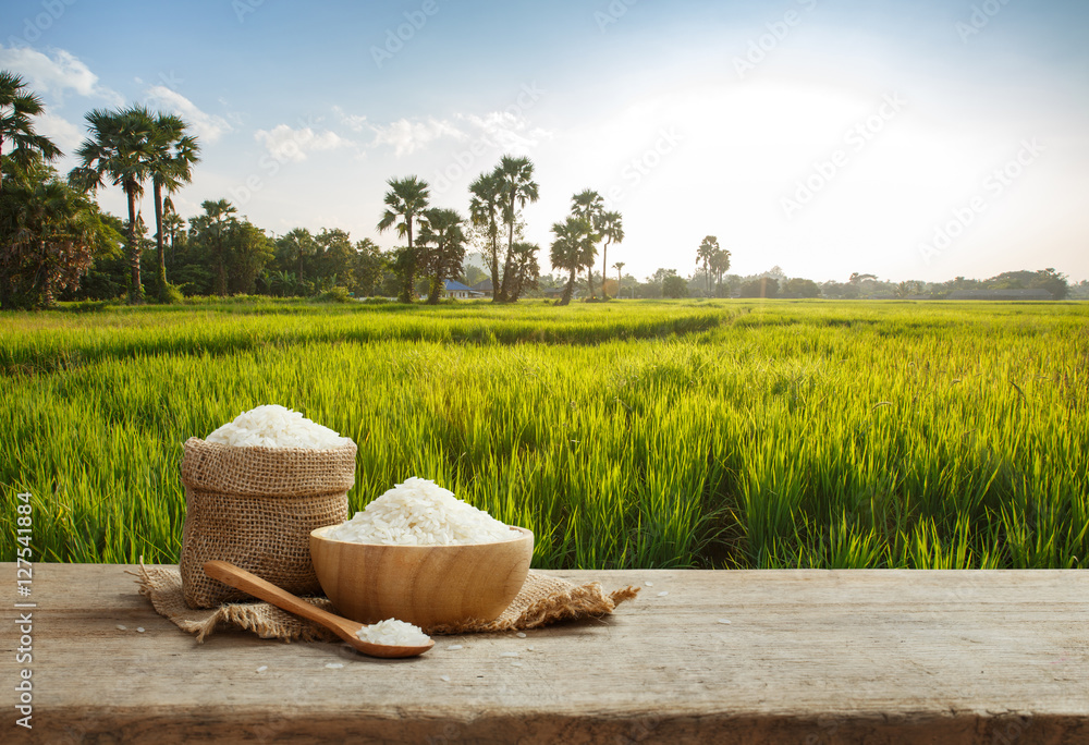 Asian white rice or uncooked white rice with the rice field back Stock ...