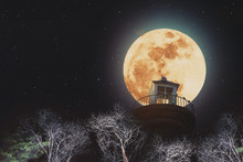 Full Moon At Night With Lighthouse On Clear Sky With Stars, And Dead Branches