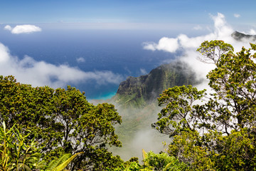 Wall Mural - Blick ins Kalalau Valley an der Na Pali Coast auf Kauai, Hawaii, USA.