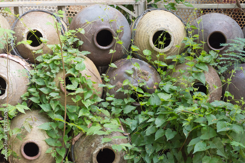 Fotografia, Obraz More ceramic or defective, then will be placed along the fence for a long time, until there is a creeping weed covered