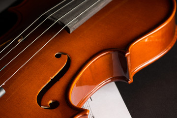 Violin