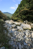 Fototapeta Natura - 愛媛県　黒川渓谷