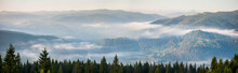 Wide Amazing Panorama Of Foggy Mountain Range. Morning With Fog Over Mountain Slopes, Covered With Spruce Forest.