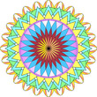 © baronred - Multicolored flower pattern
