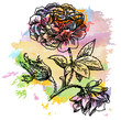 художественный рисунок цветок пиона,эскиз,тату,акварель