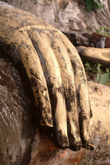 Hand of Buddha