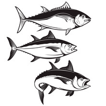 Set Of Tuna Fish Icons Isolated On White Background. Design Elements For Logo, Label, Emblem, Sign, Badge. Vector Illustration.